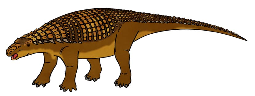 File:Nodosaurus 500 TWA.JPG - Wikipedia