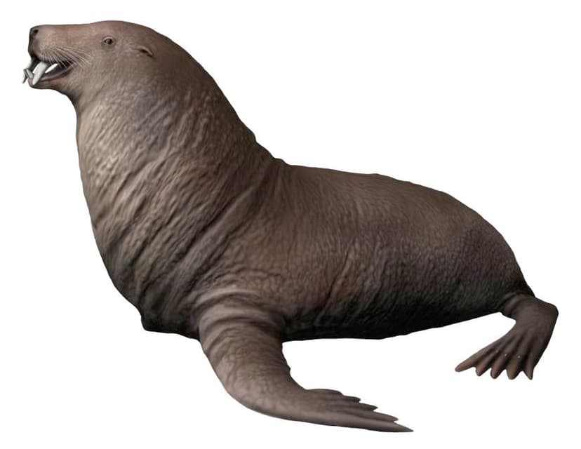File:Gomphotaria pugnax life restoration.jpg - Wikimedia Commons