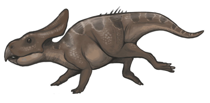 File:Protoceratops reconstruction.png - Wikimedia Commons
