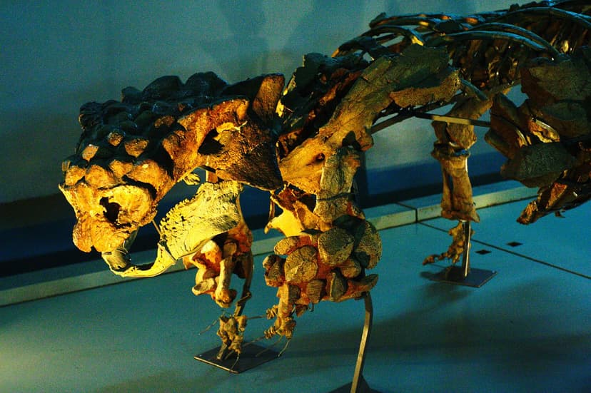 File:Ankylosaur.jpg - Wikipedia