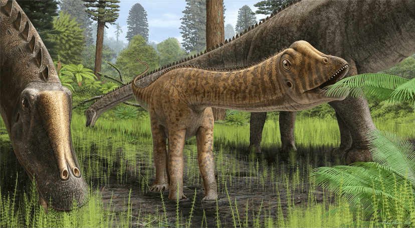 File:Smallest Diplodocid.png - Wikipedia