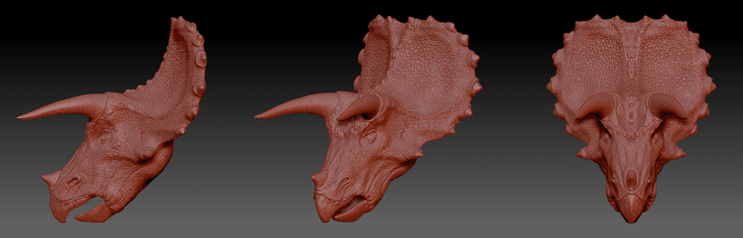 File:Triceratops head digital reconstruction.PNG - Wikimedia Commons
