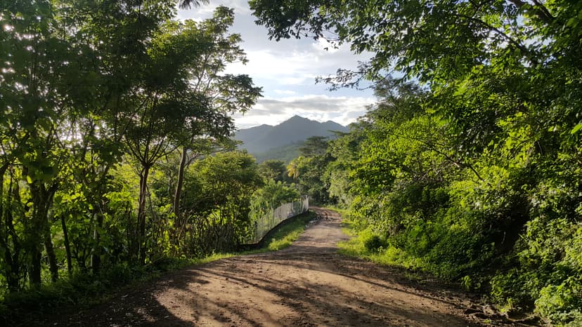 File:Camino Rural.jpg - Wikimedia Commons