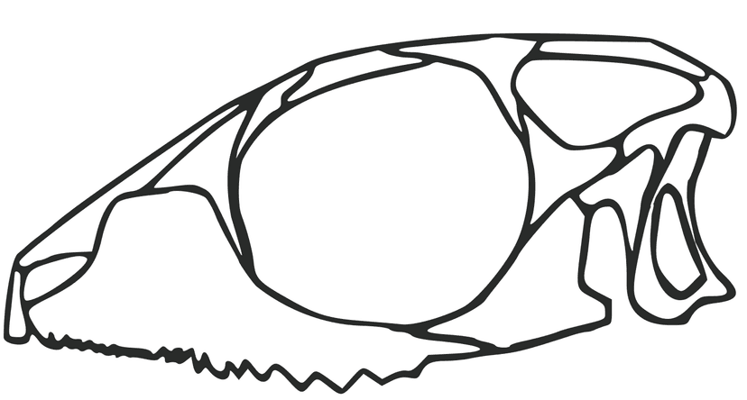 File:Diphydontosaurus.png - Wikimedia Commons