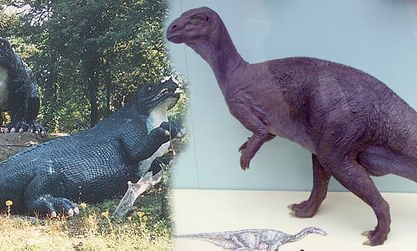 File:Changing-image-of-Iguanodon.jpg - Wikipedia