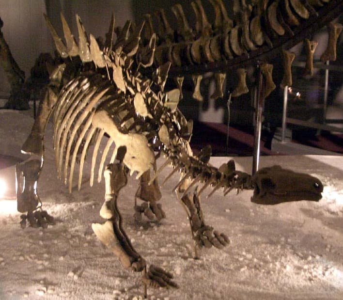 File:Chungkingosaurus jiangbeiensis.jpg - Wikipedia