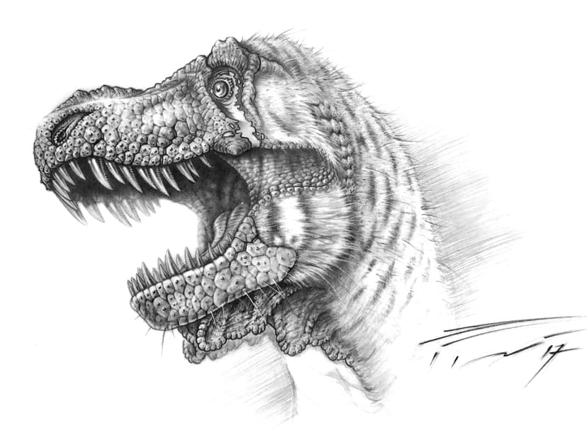 File:STAN BHI 3033 head life restoration.jpg - Wikimedia Commons
