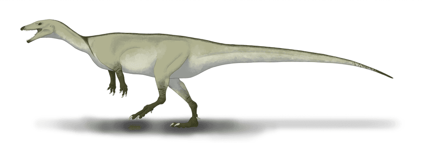 File:Buriolestes schultzi restoration.png - Wikipedia
