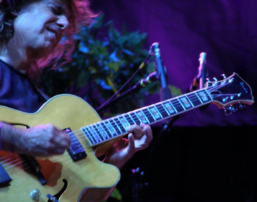 File:Pat Metheny and his guitar.jpg - Wikimedia Commons