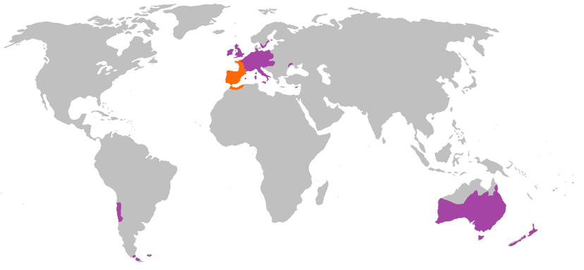 Archivo:Oryctolagus cuniculus distribution Map.png - Wikipedia, la ...