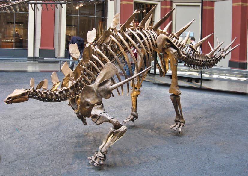 File:Berlin Naturkundemuseum Dino Eingangshalle.jpg - Wikipedia