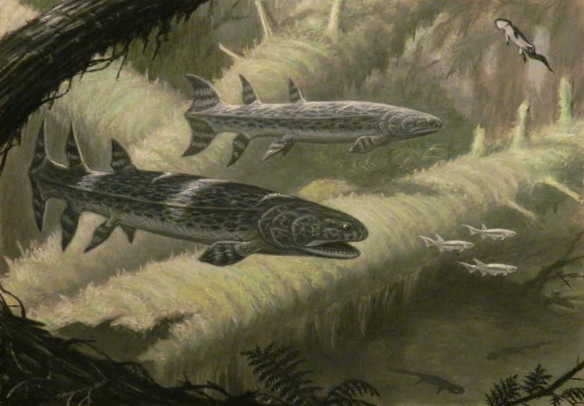File:Hyneria.jpg - Simple English Wikipedia, the free encyclopedia
