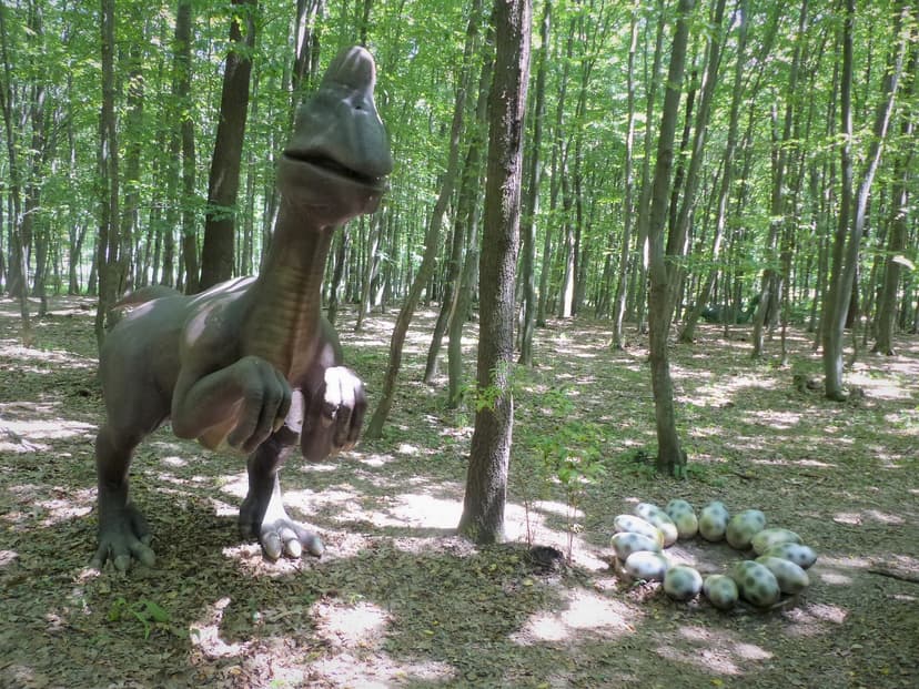 File:Oviraptor.jpg - Wikimedia Commons
