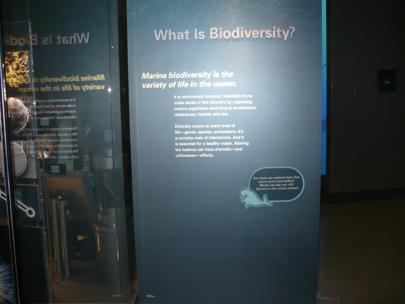 File:What is biodiversity?.JPG - Wikimedia Commons