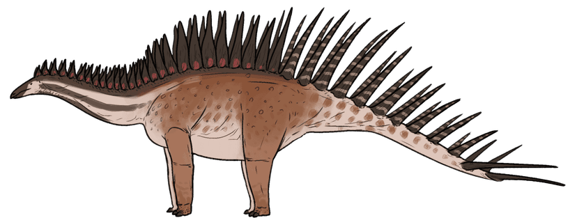 File:"Stegosaurus" sulcatus.png - Wikimedia Commons