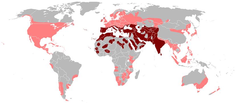 File:Columba livia distribution map.png - Wikipedia