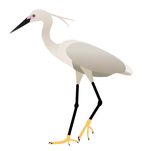 File:Egret.svg - Wikimedia Commons