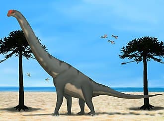 File:Lusotitan.jpg - Wikipedia