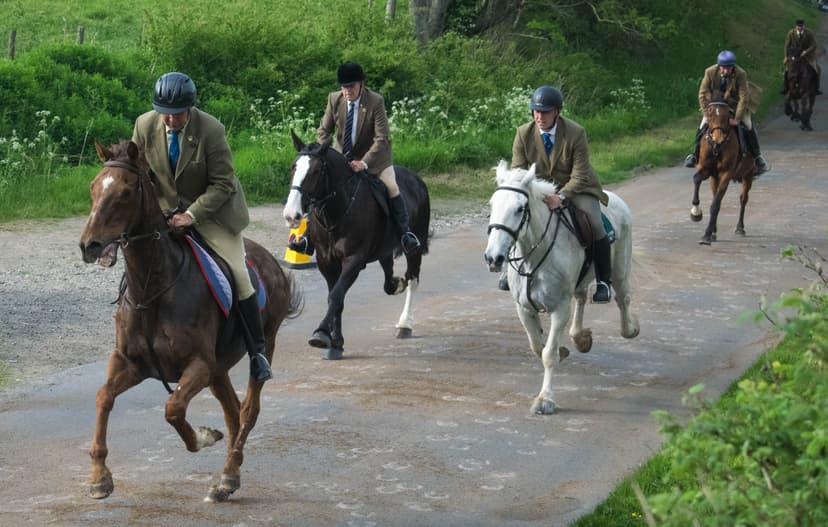 File:Horse's galloping up the Chase.jpg - Wikipedia