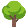 🌳