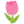 🌷