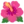 🌺