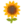 🌻