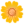 🌼