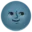 🌚