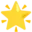 🌟