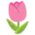 🌷