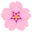 🌸