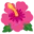 🌺