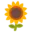 🌻
