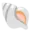 🐚