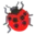 🐞
