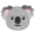 🐨