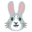 🐰
