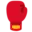 🥊