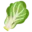 🥬
