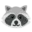 🦝