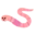 🪱