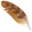 🪶