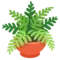 Planta En Cuidado