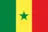 🇸🇳